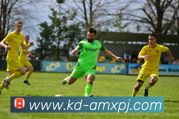 新葡京娱乐平台生态图