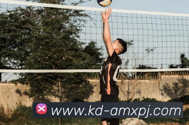 新葡京娱乐APP 封面图